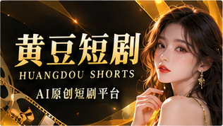 版权与使用说明